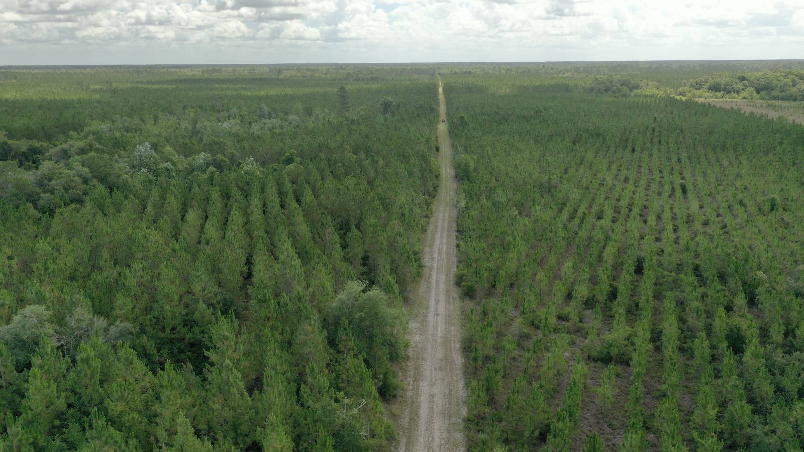 0 US HWY 441 N, LAKE CITY, FL 32055
