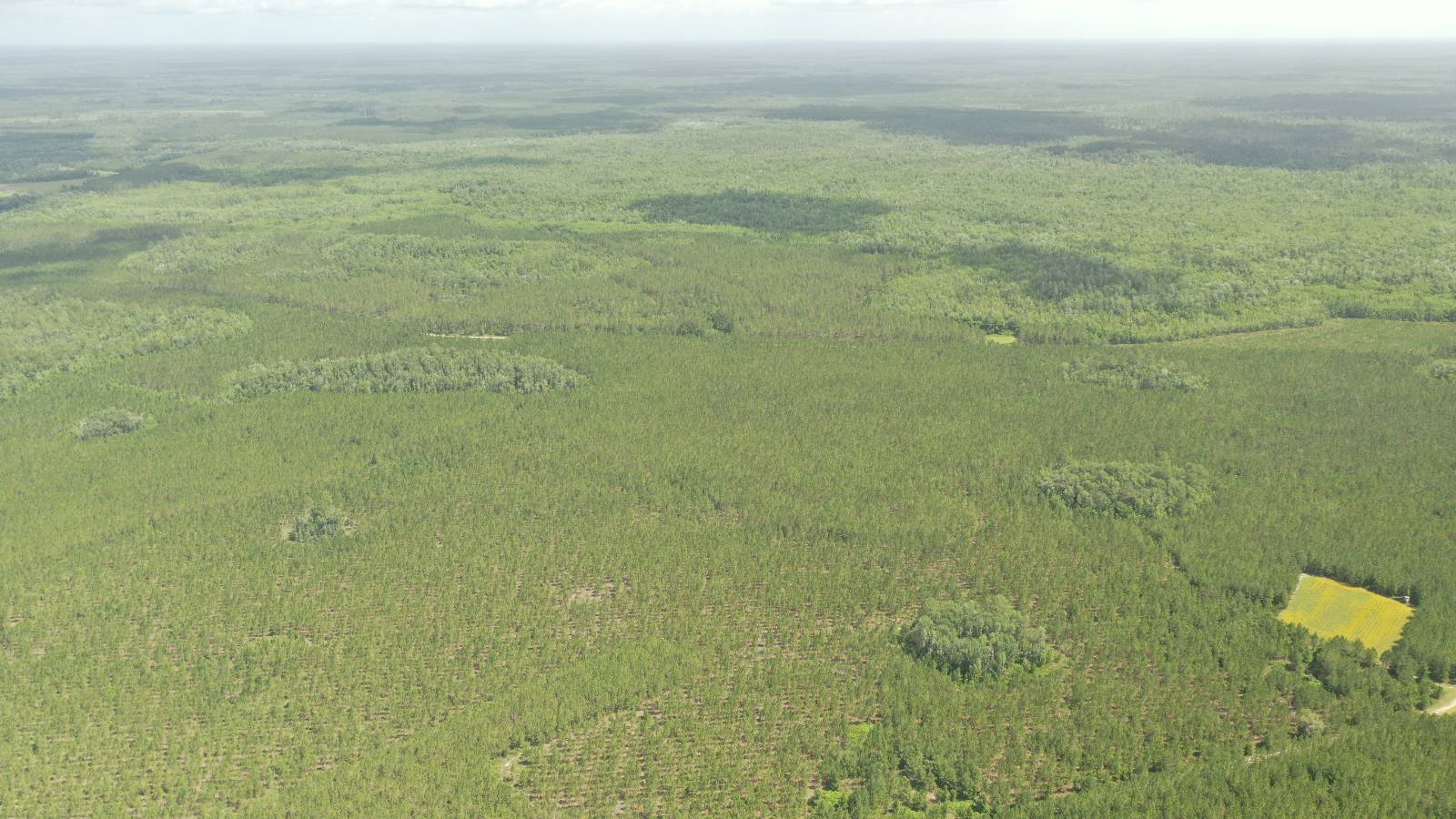 0 US HWY 441 N, LAKE CITY, FL 32055