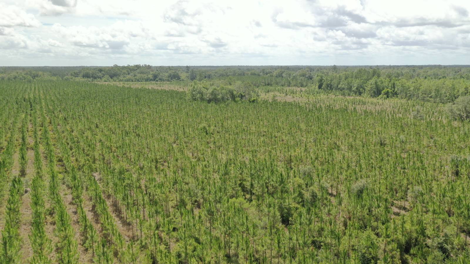 0 US HWY 441 N, LAKE CITY, FL 32055