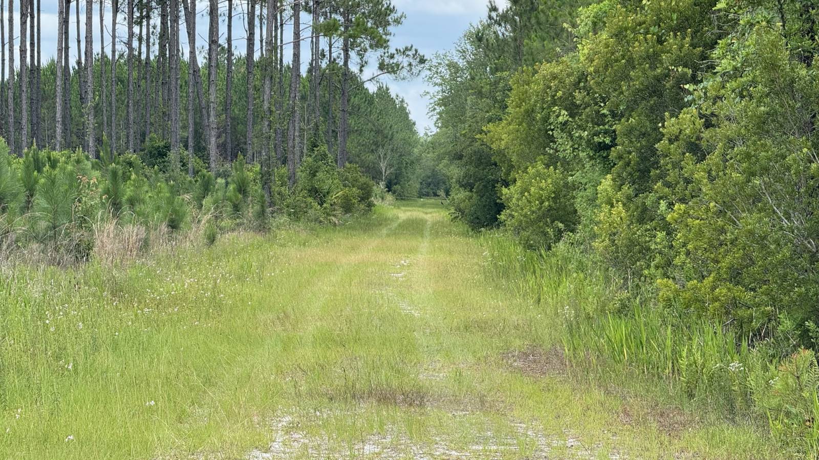 0 US HWY 441 N, LAKE CITY, FL 32055