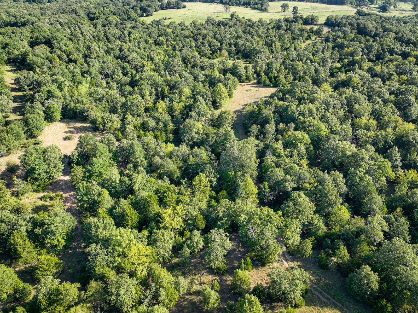 60-Acre Hunting Land for Sale, Atoka County, OK, photo 2 of 32