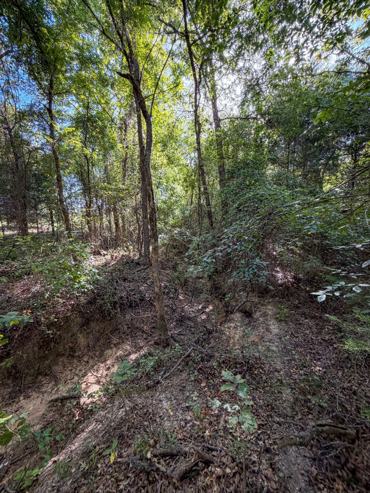 Photo 5 of 32 of land for sale at 6725 E Windy Ln, Atoka, OK 74525