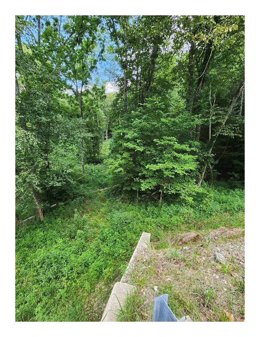 0 Hwy1950, Prather Ridge