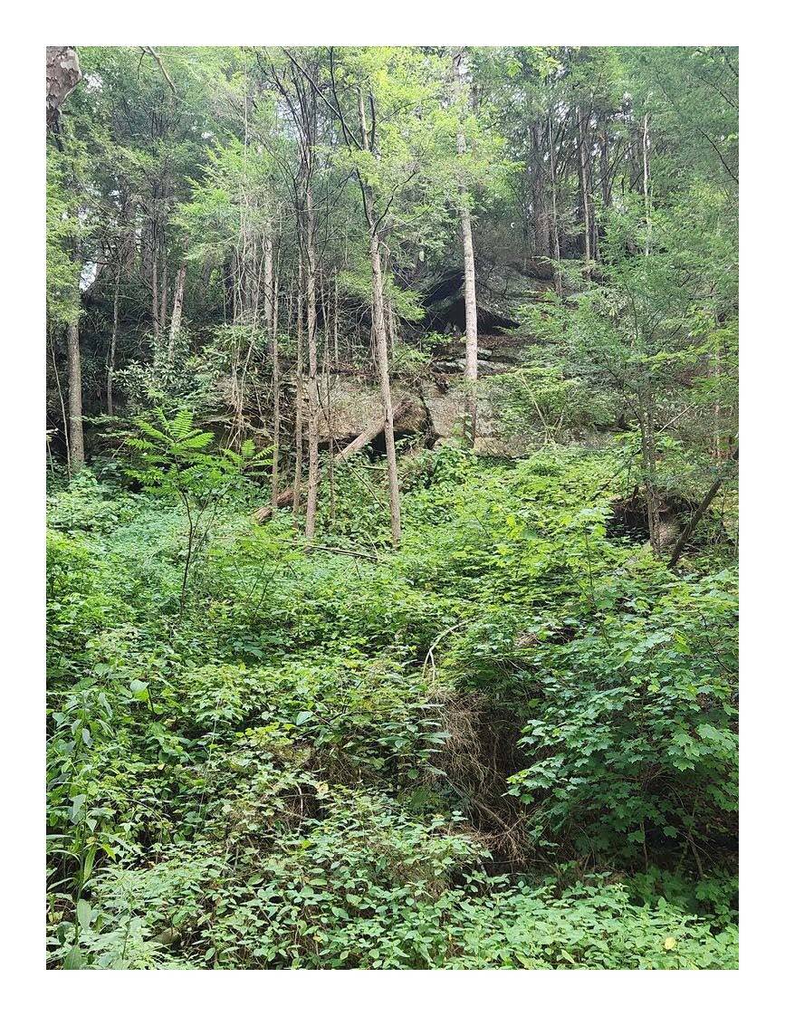 0 Hwy1950, Prather Ridge