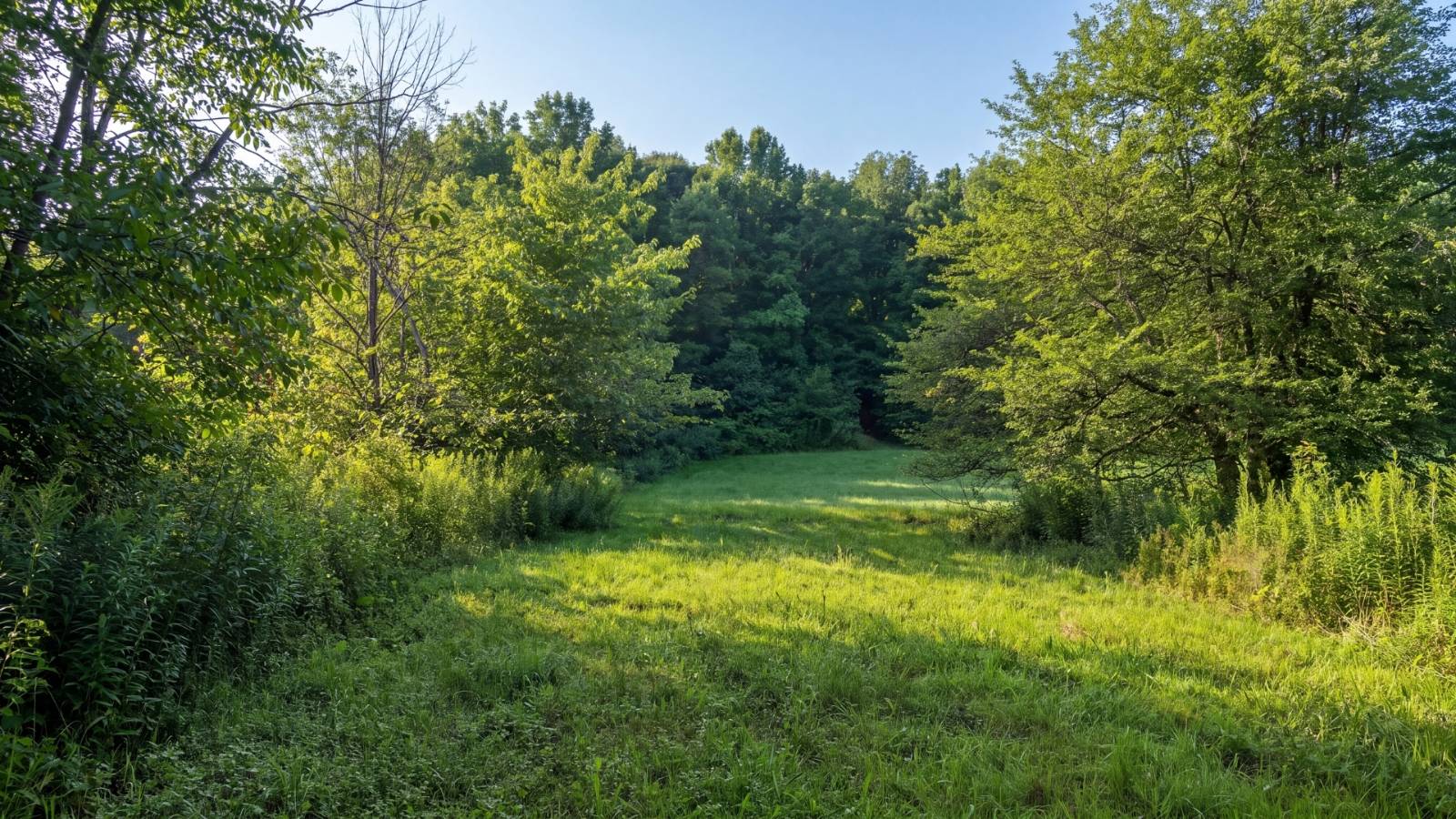 149 Duck Farm Rd