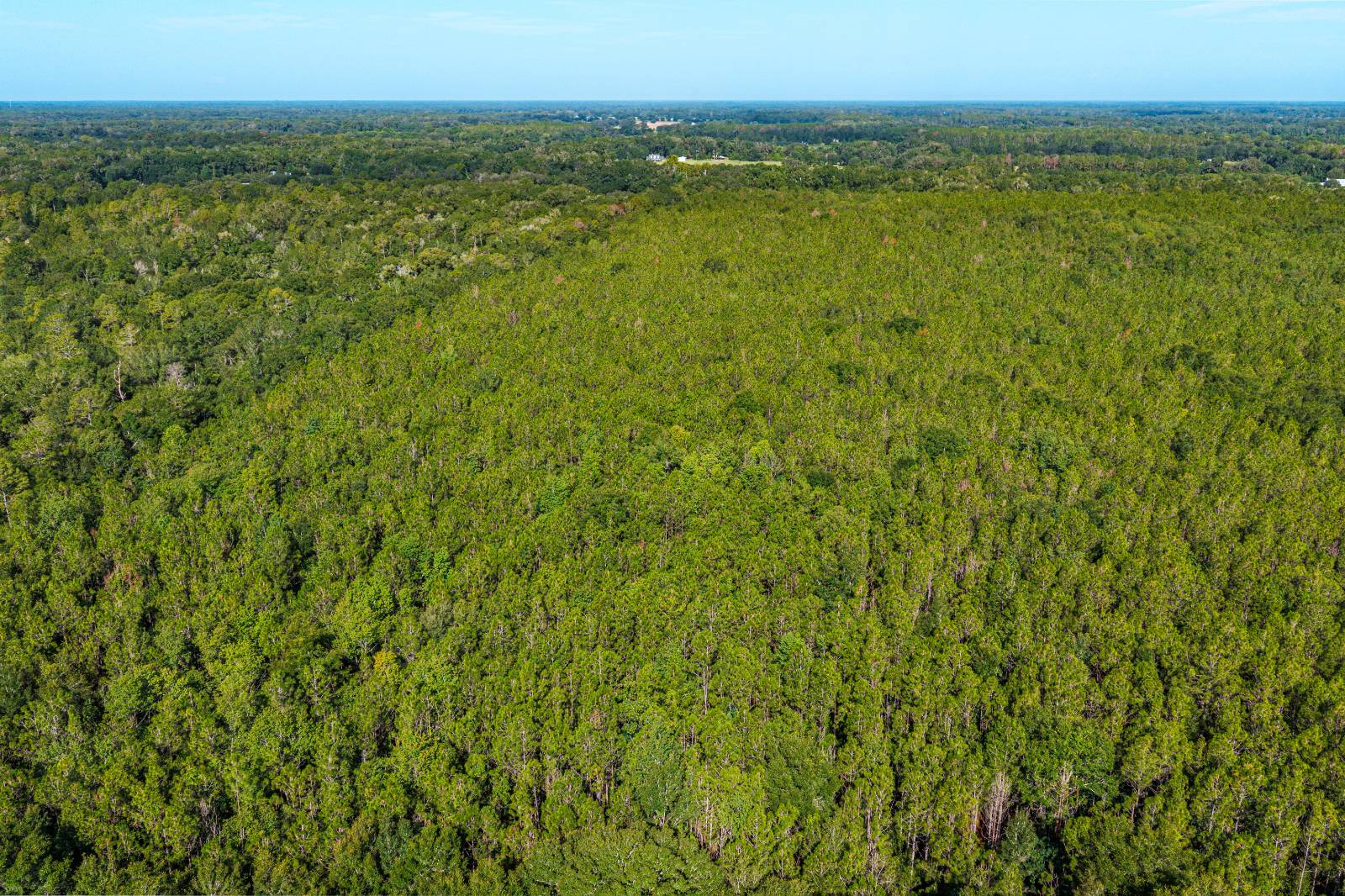 0 CR 235, Alachua, FL 32615
