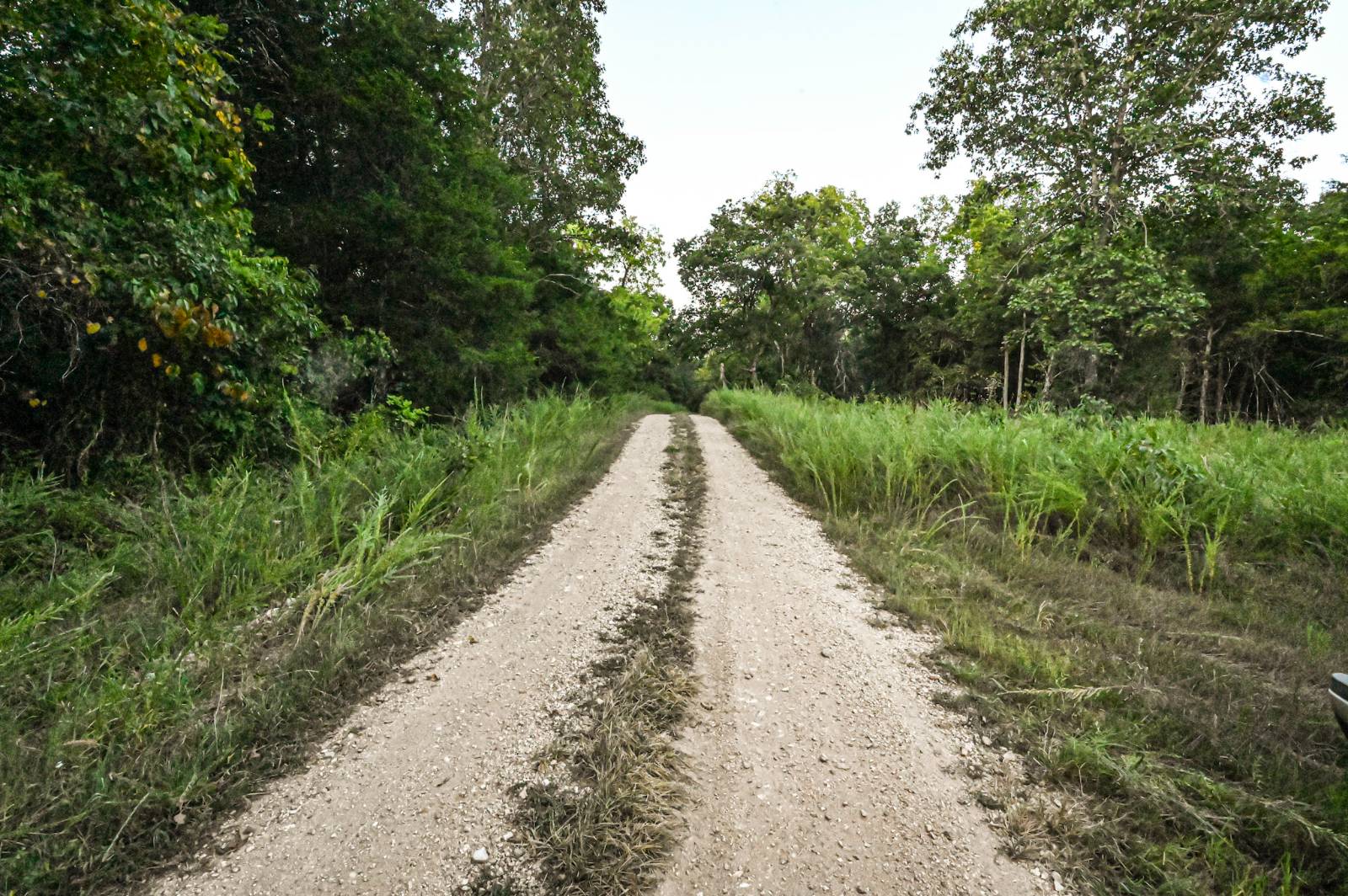 Photo 5 of 23 of land for sale at 000 Old Copperhead Road, Isabella, MO 65676