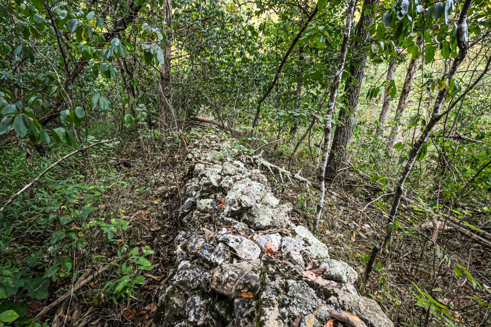 Photo 4 of 23 of land for sale at 000 Old Copperhead Road, Isabella, MO 65676