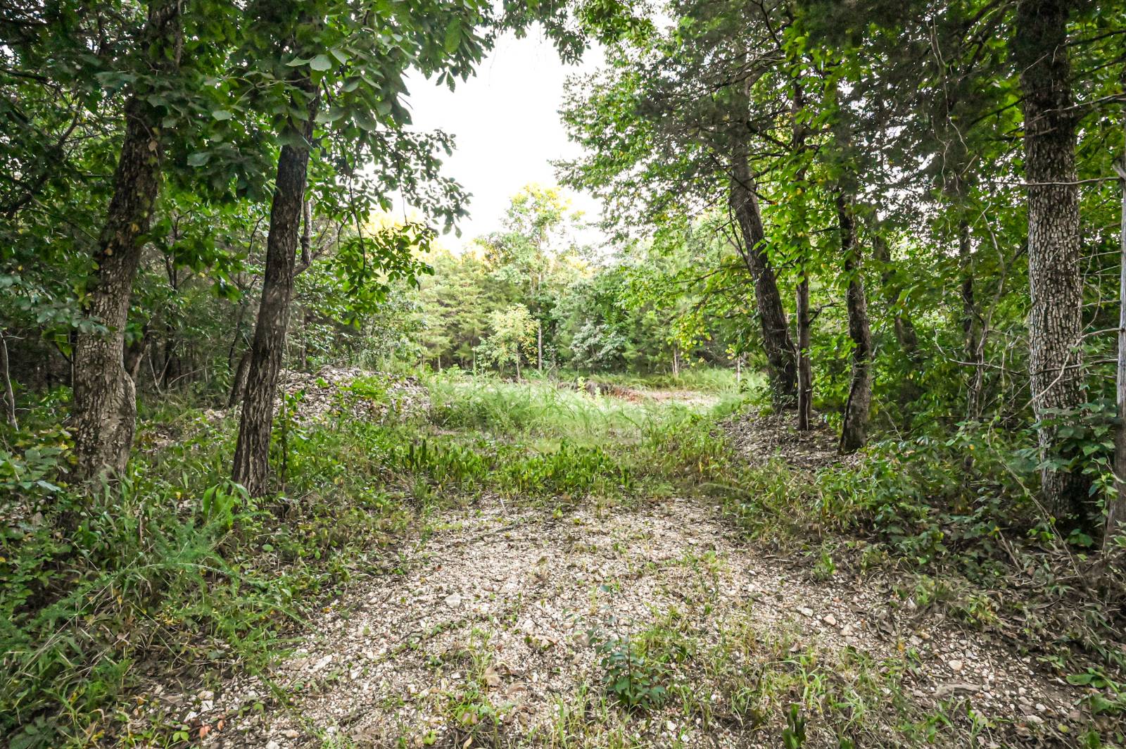 Photo 2 of 23 of land for sale at 000 Old Copperhead Road, Isabella, MO 65676