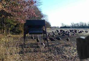 160-Acre Hunting Land for Sale, Coffey County, KS, photo 3 of 72