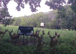 160-Acre Hunting Land for Sale, Coffey County, KS, photo 2 of 72