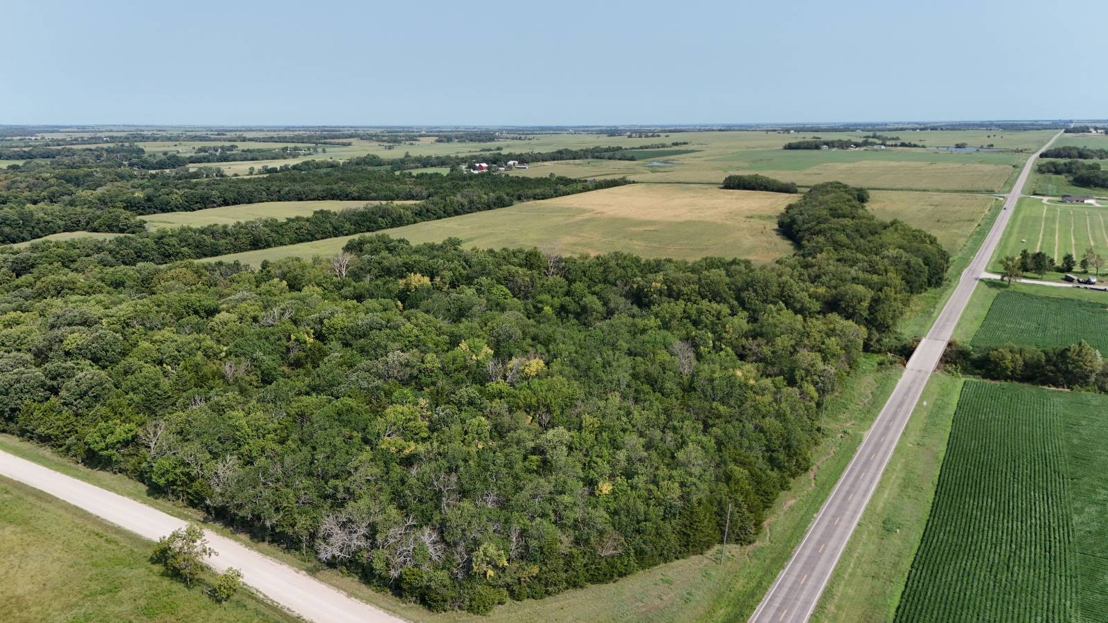 160 acres in Coffey County, KS: hunting land for sale near Gridley, KS