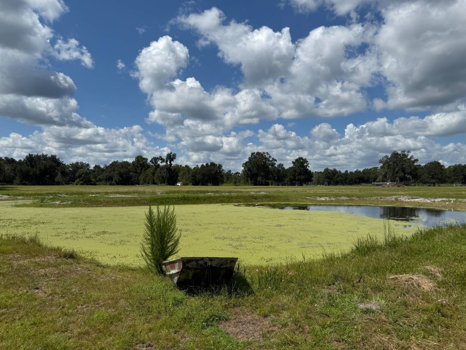 14875 CR 751, Webster, FL 33597