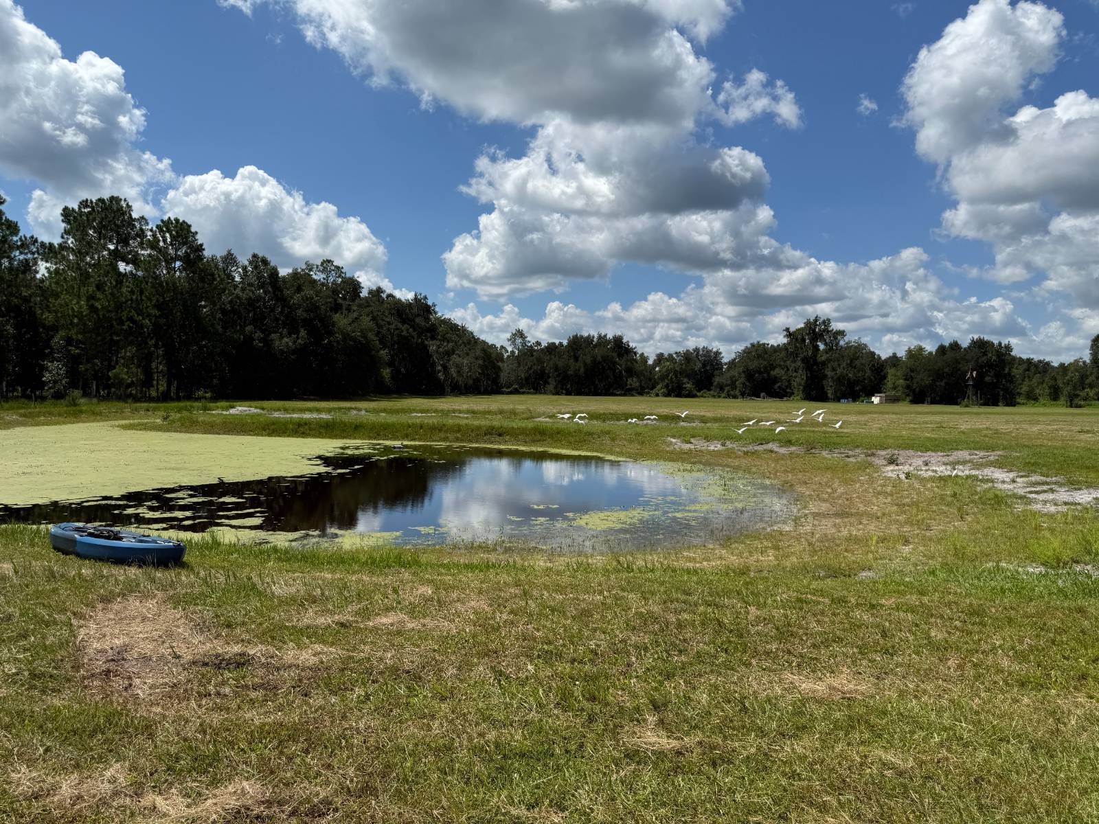 14875 CR 751, Webster, FL 33597