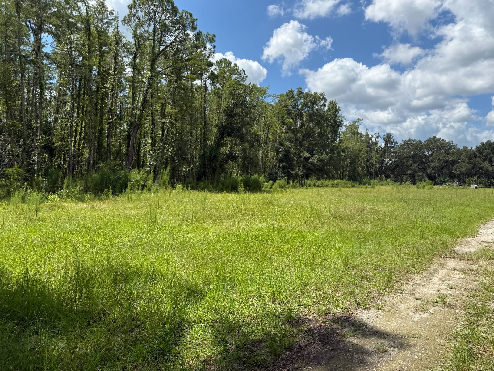 14875 CR 751, Webster, FL 33597