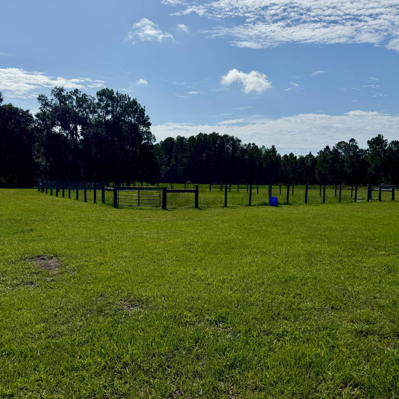 14875 CR 751, Webster, FL 33597