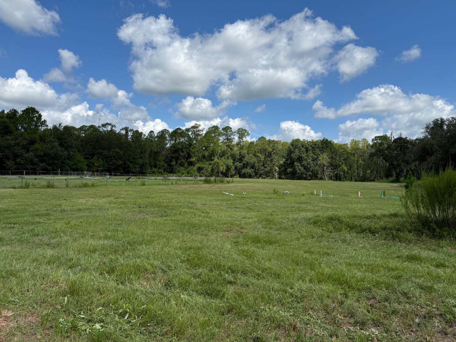 14875 CR 751, Webster, FL 33597