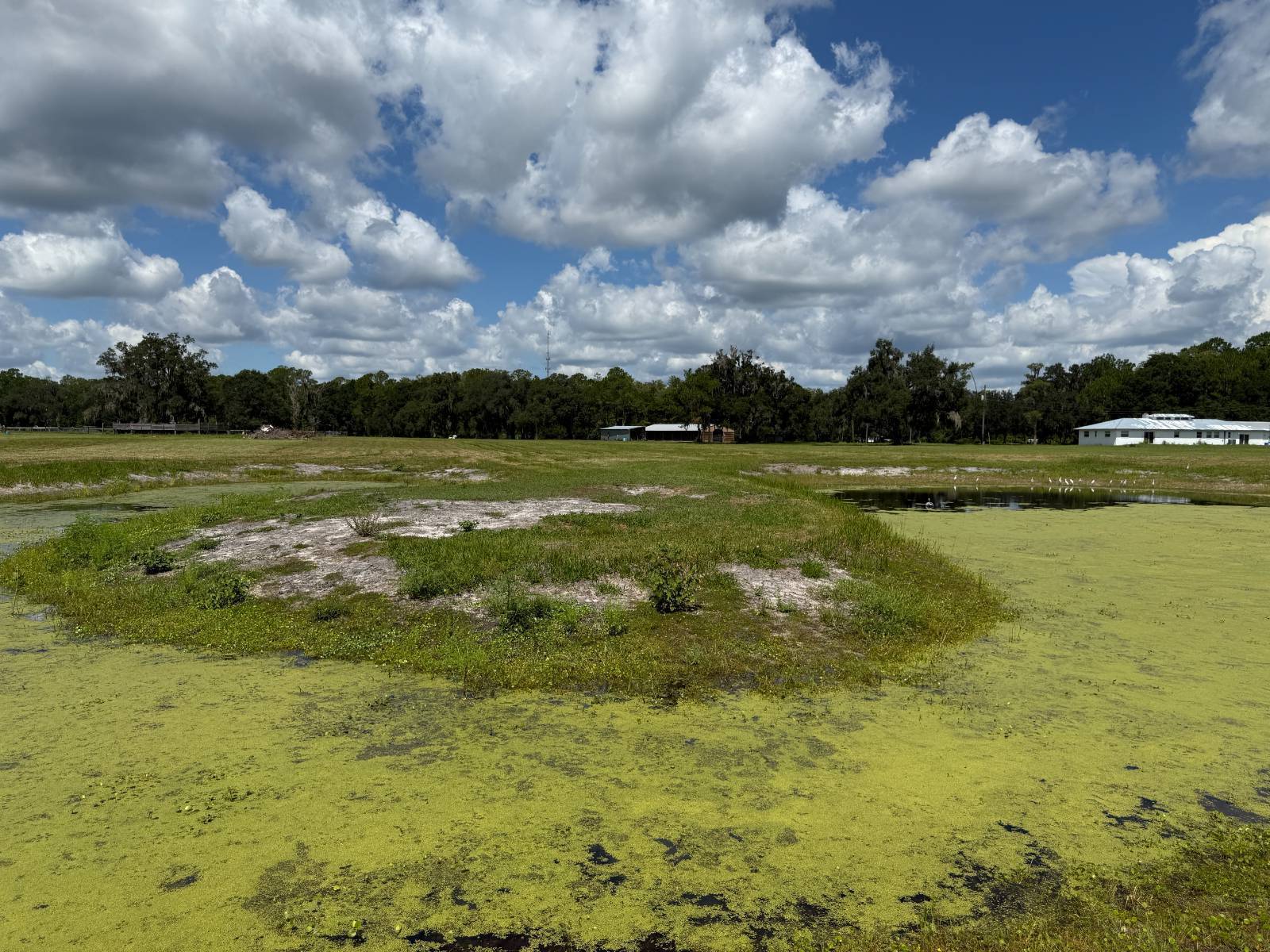 14875 CR 751, Webster, FL 33597