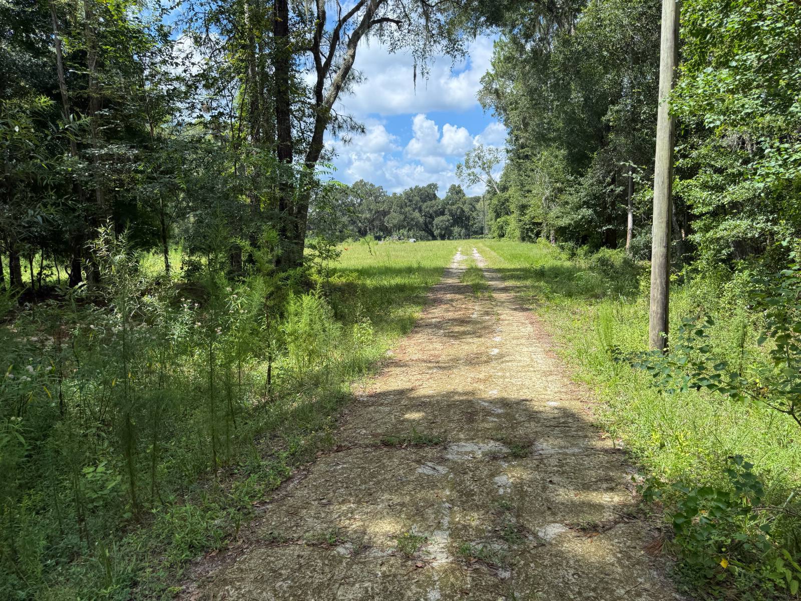 14875 CR 751, Webster, FL 33597