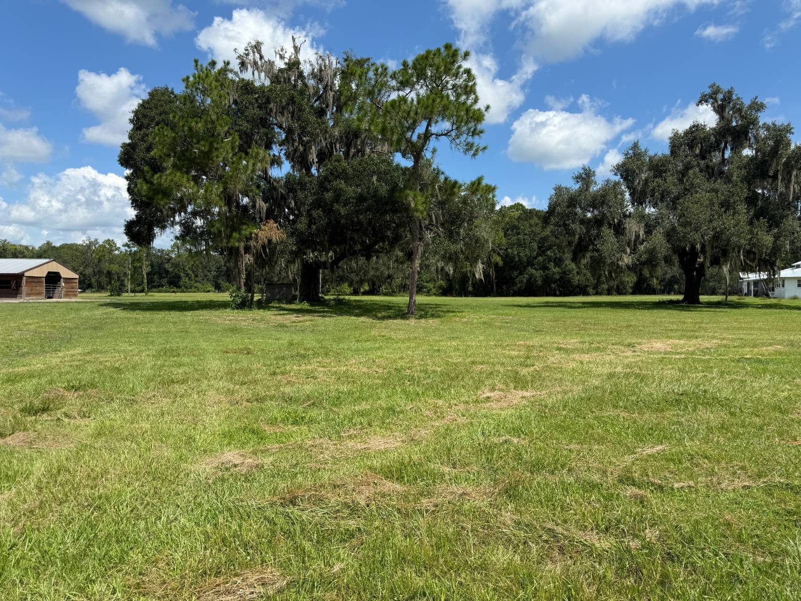 14875 CR 751, Webster, FL 33597
