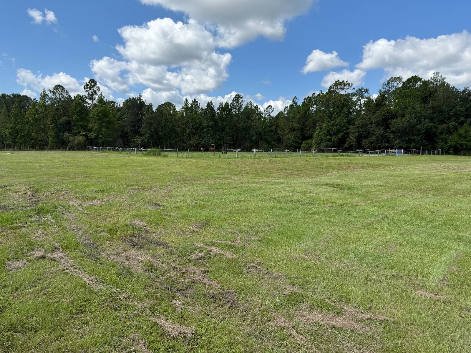 14875 CR 751, Webster, FL 33597