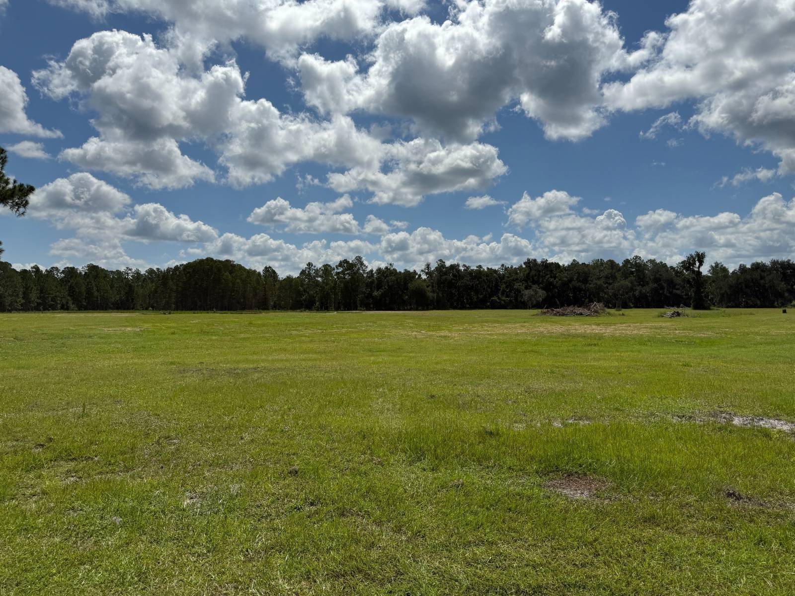 14875 CR 751, Webster, FL 33597