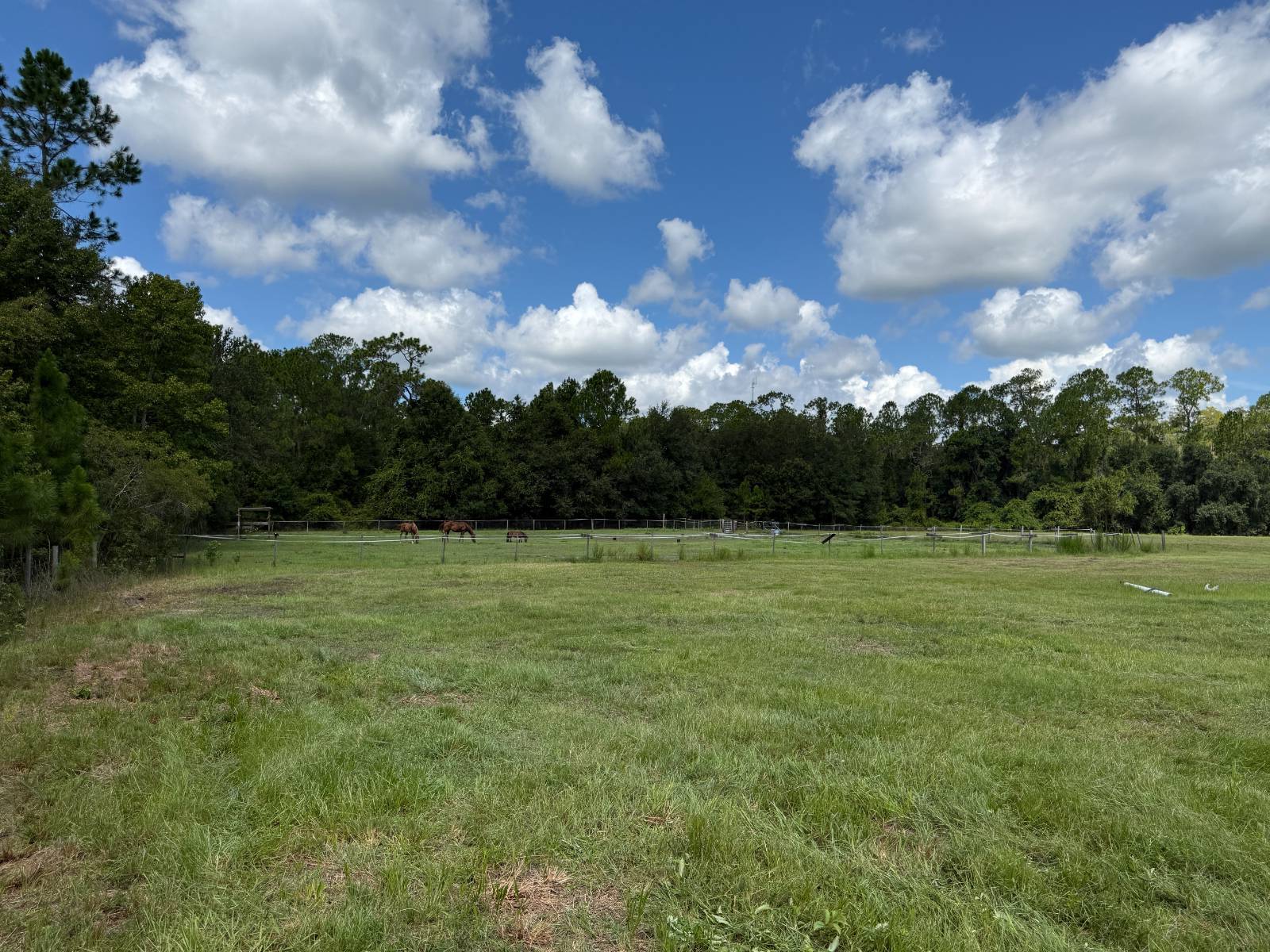14875 CR 751, Webster, FL 33597