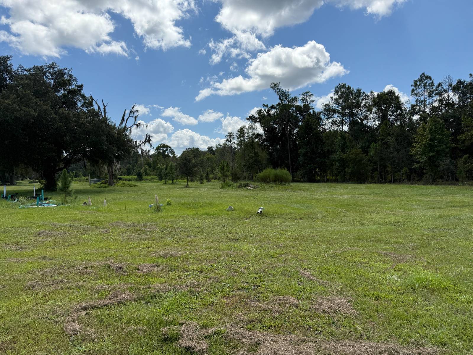 14875 CR 751, Webster, FL 33597