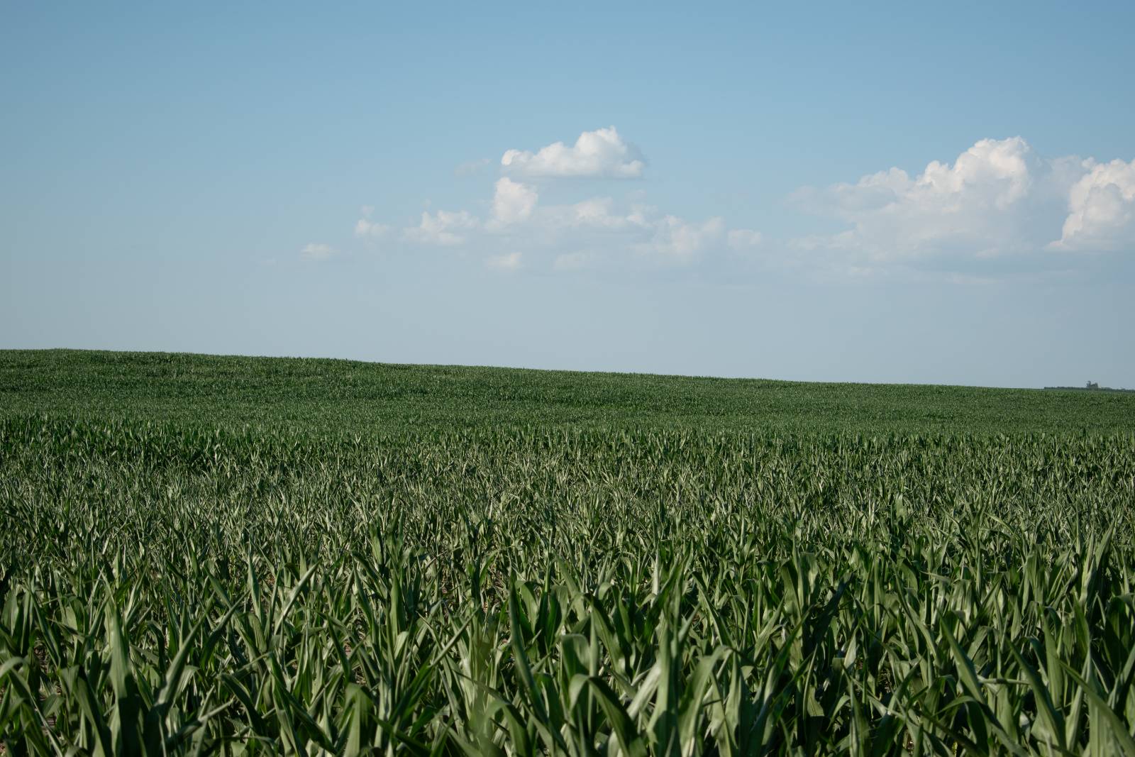 Photo 4 of 6 of land listing at 0 Road 757, Grainton, NE 69169
