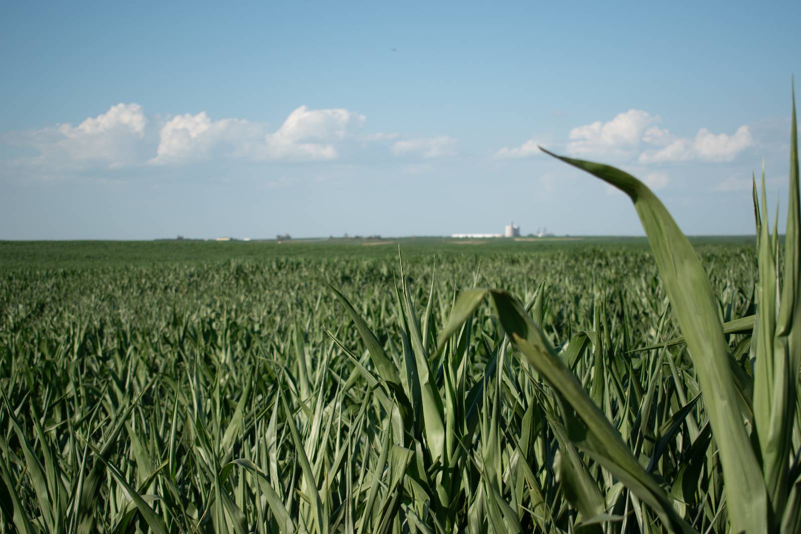 Photo 3 of 6 of land listing at 0 Road 757, Grainton, NE 69169