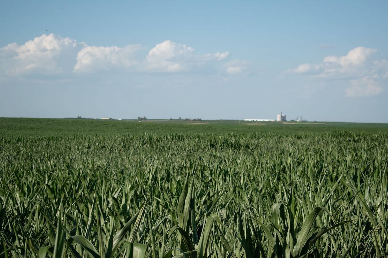 Photo 2 of 6 of land listing at 0 Road 757, Grainton, NE 69169