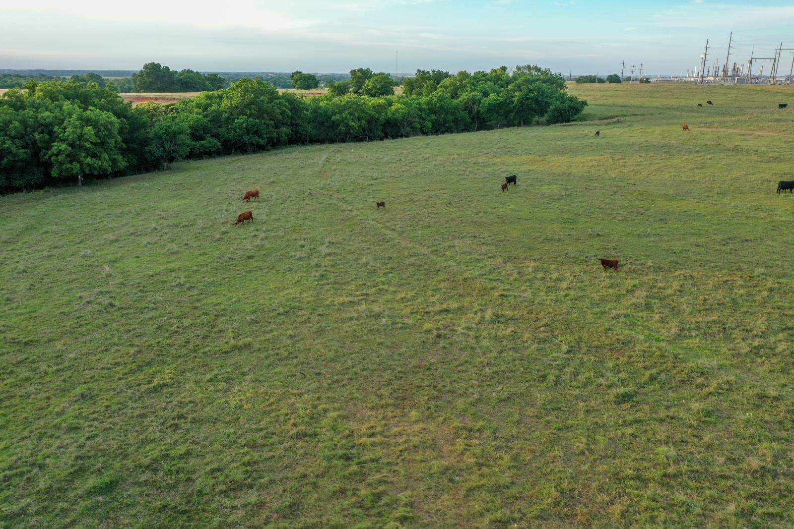 Photo 4 of 40 of land for sale at 0000 N 3110 Rd., Maysville, OK 73057