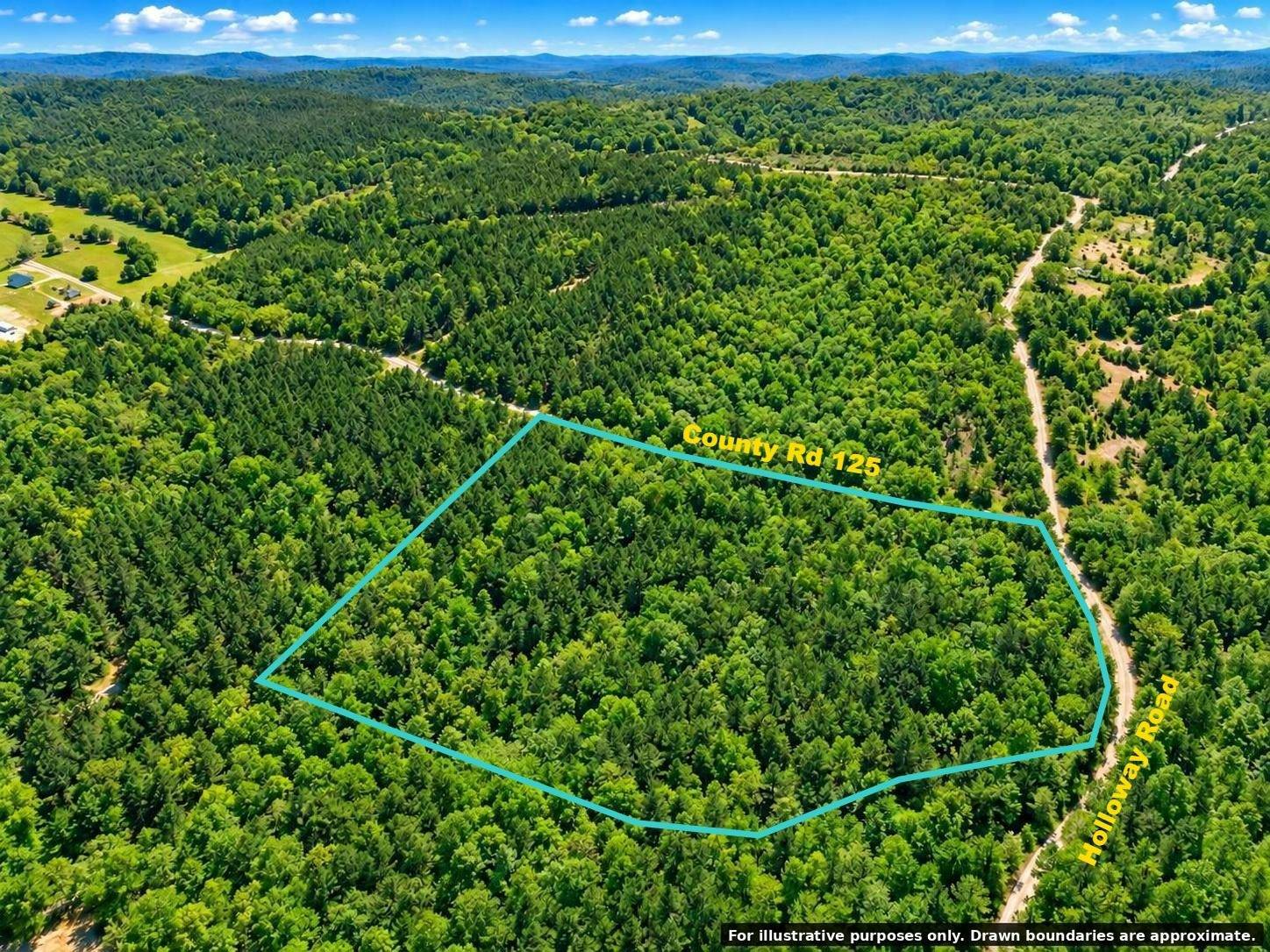Photo 4 of 27 of land for sale at 02 Holloway Road, Hamilton, AL 35570