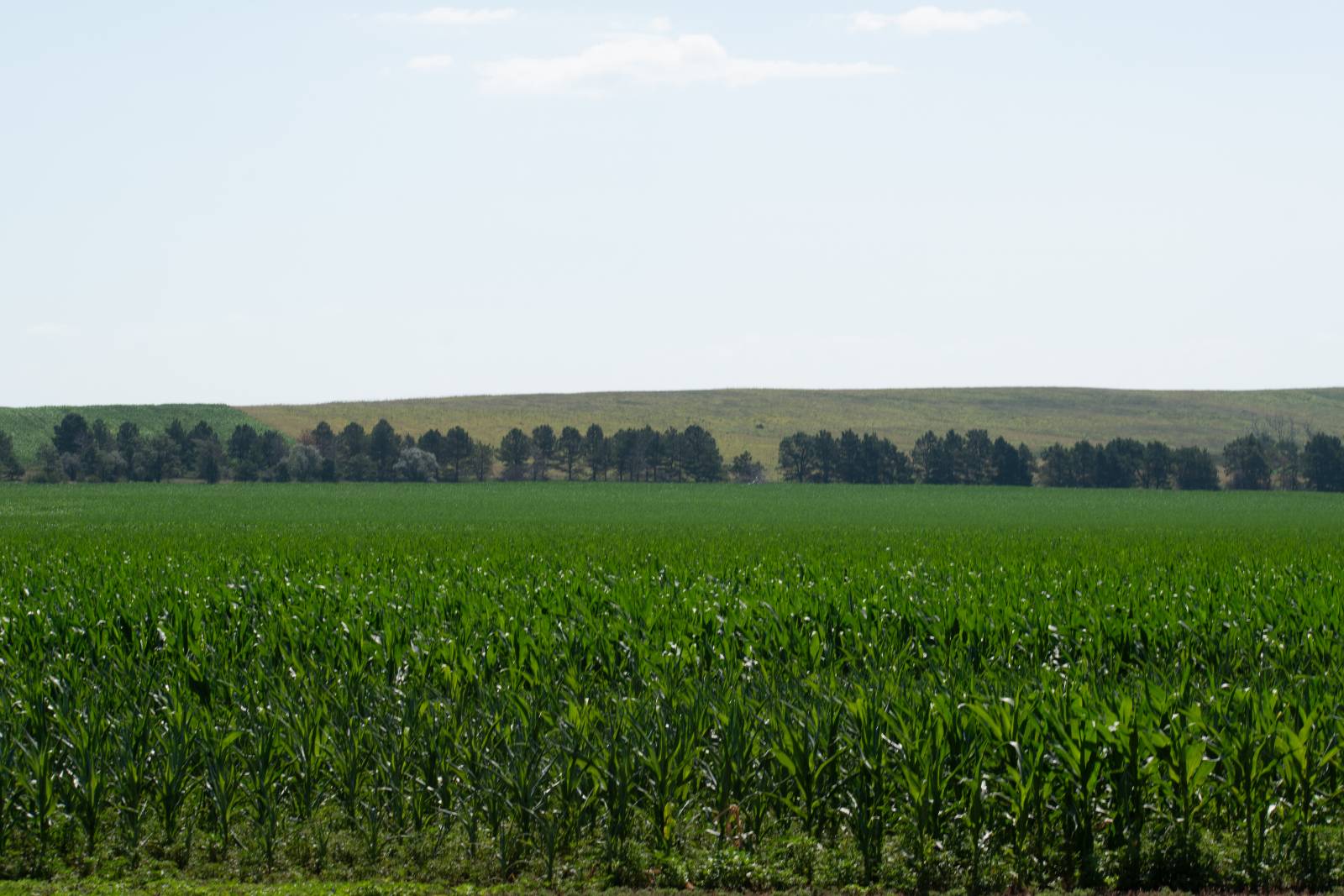Photo 11 of 14 of farm or ranch property listing at 0 Road 755, Grainton, NE 69169