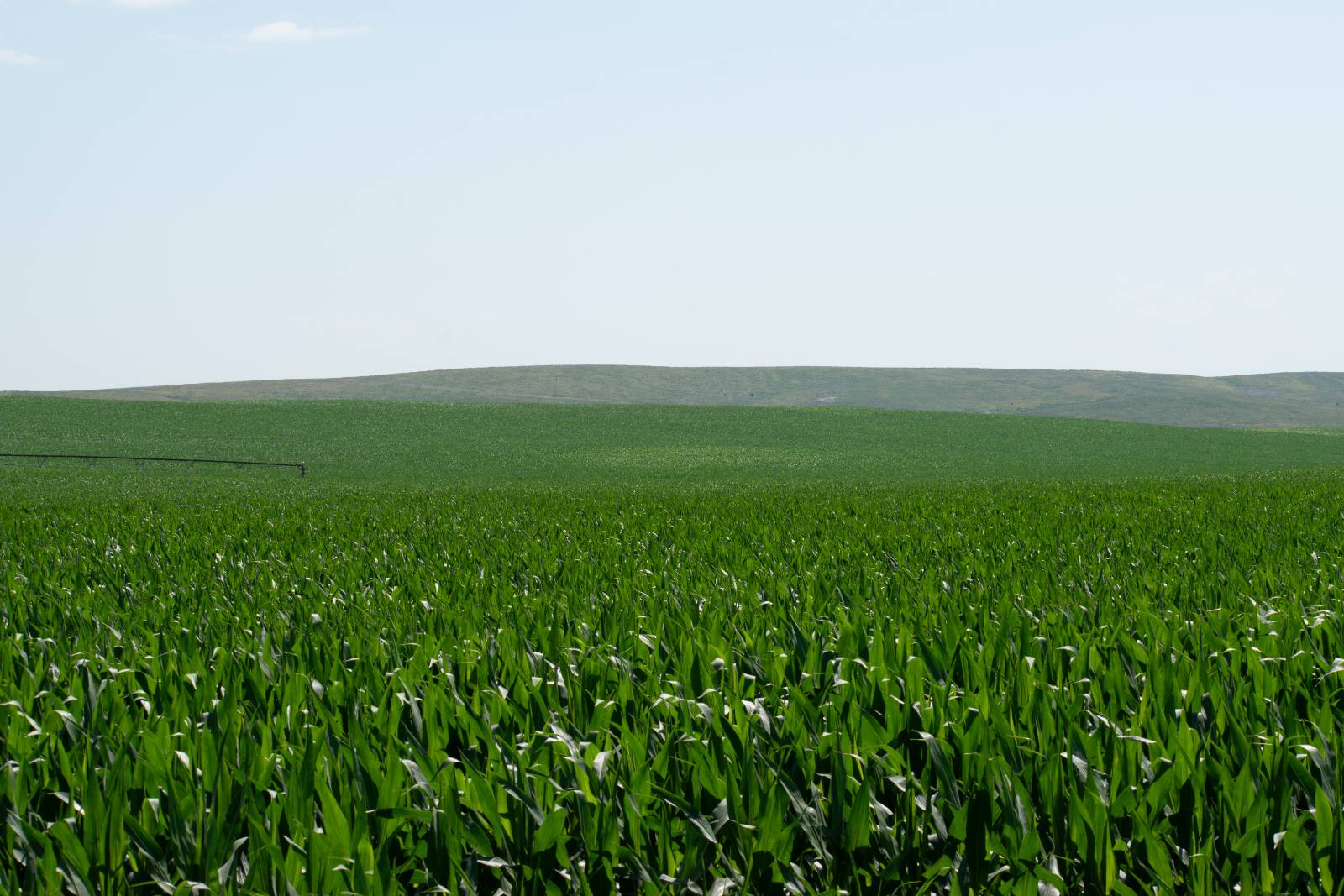 Photo 7 of 14 of farm or ranch property listing at 0 Road 755, Grainton, NE 69169