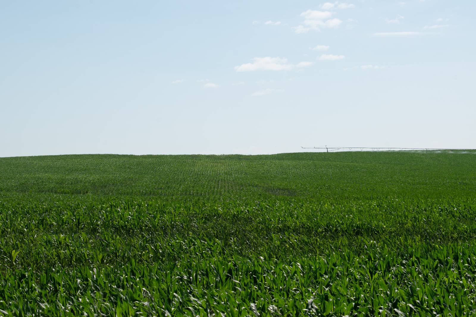 Photo 6 of 14 of farm or ranch property listing at 0 Road 755, Grainton, NE 69169