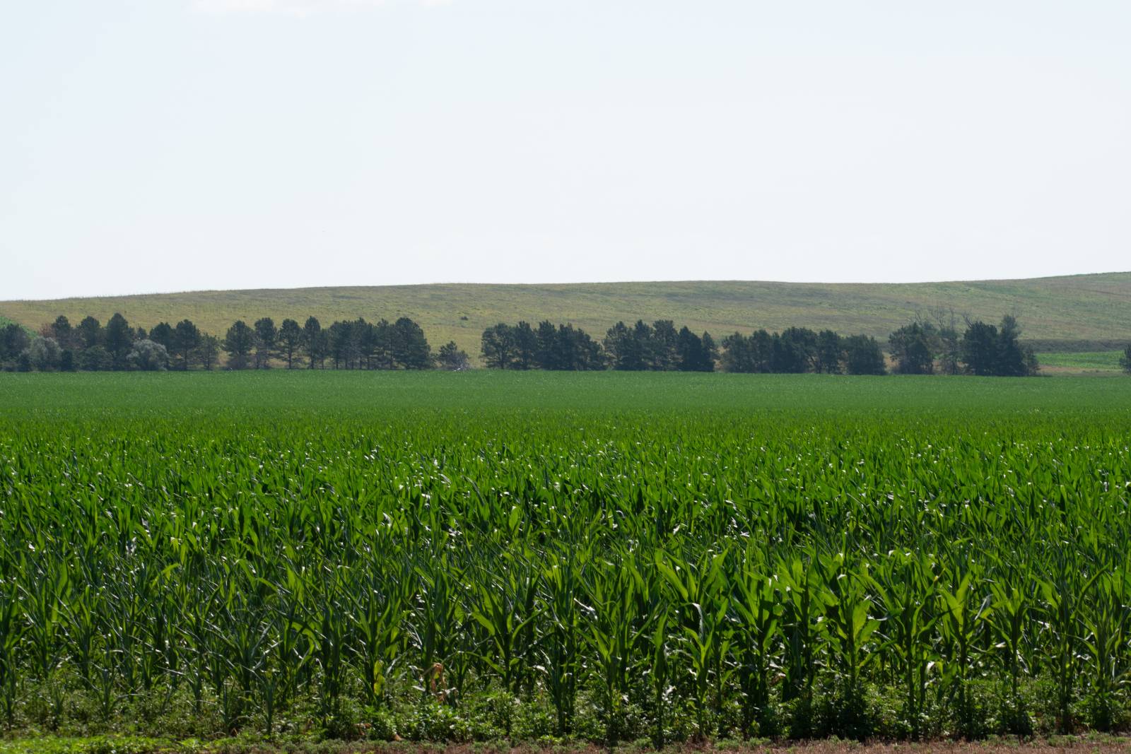Photo 3 of 14 of farm or ranch property listing at 0 Road 755, Grainton, NE 69169