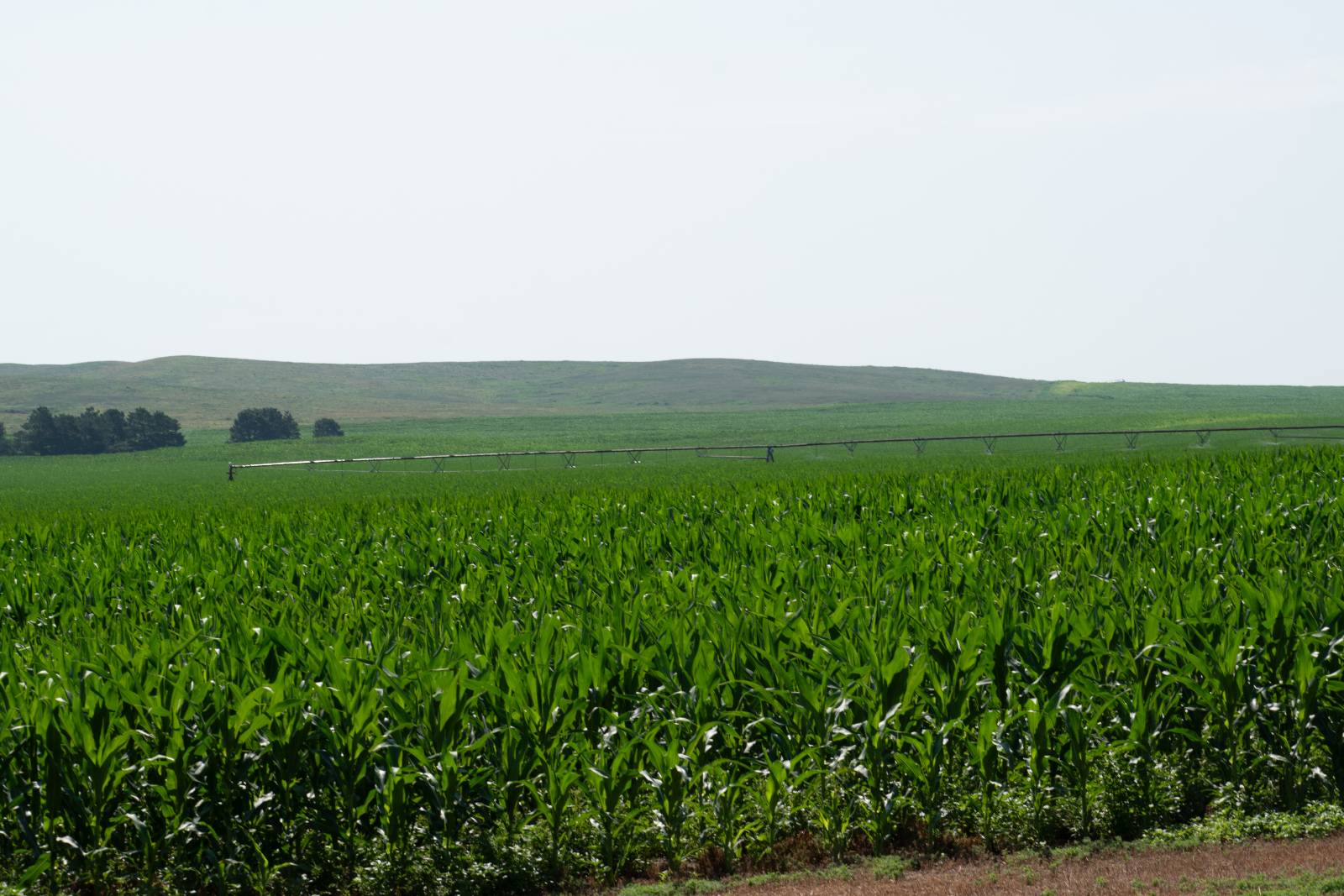 Photo 4 of 14 of farm or ranch property listing at 0 Road 755, Grainton, NE 69169