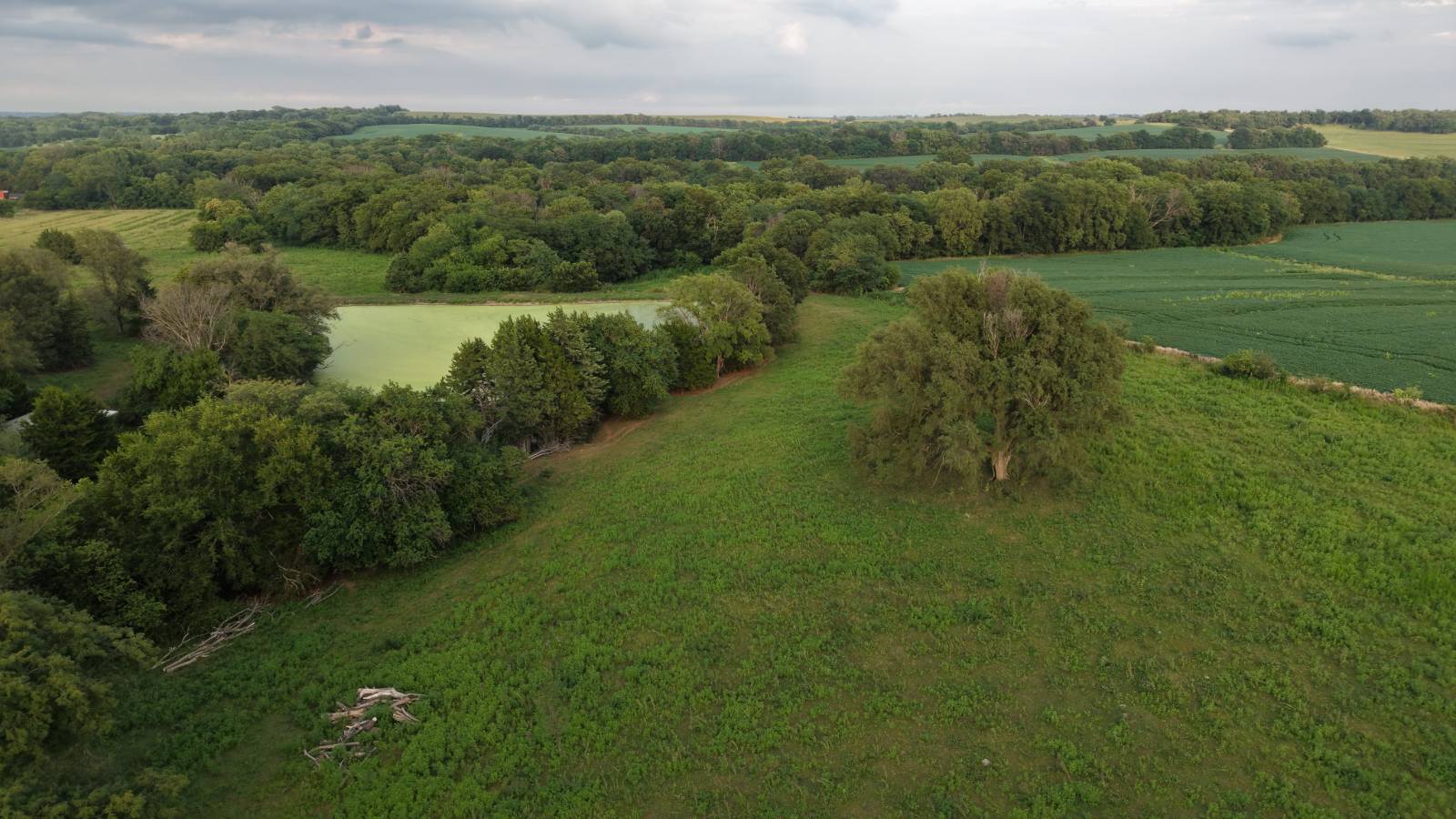 Photo 15 of 60 of land listing at NA 640 Ave, Auburn, NE 68305