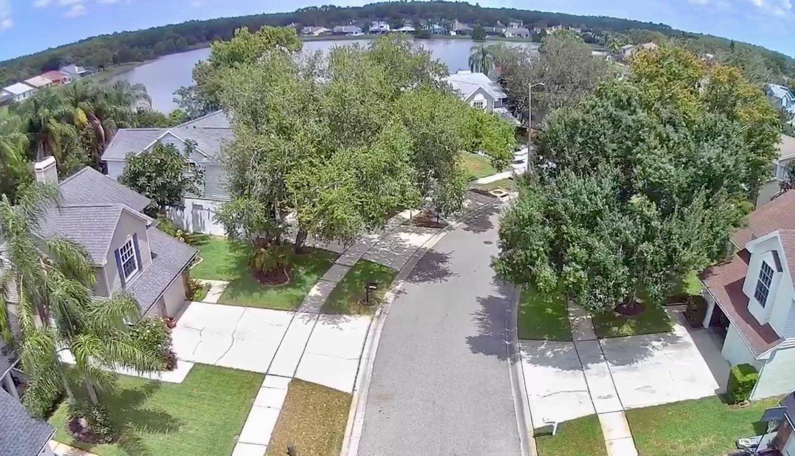 11838 Branch Mooring Dr, Tampa, FL 33635