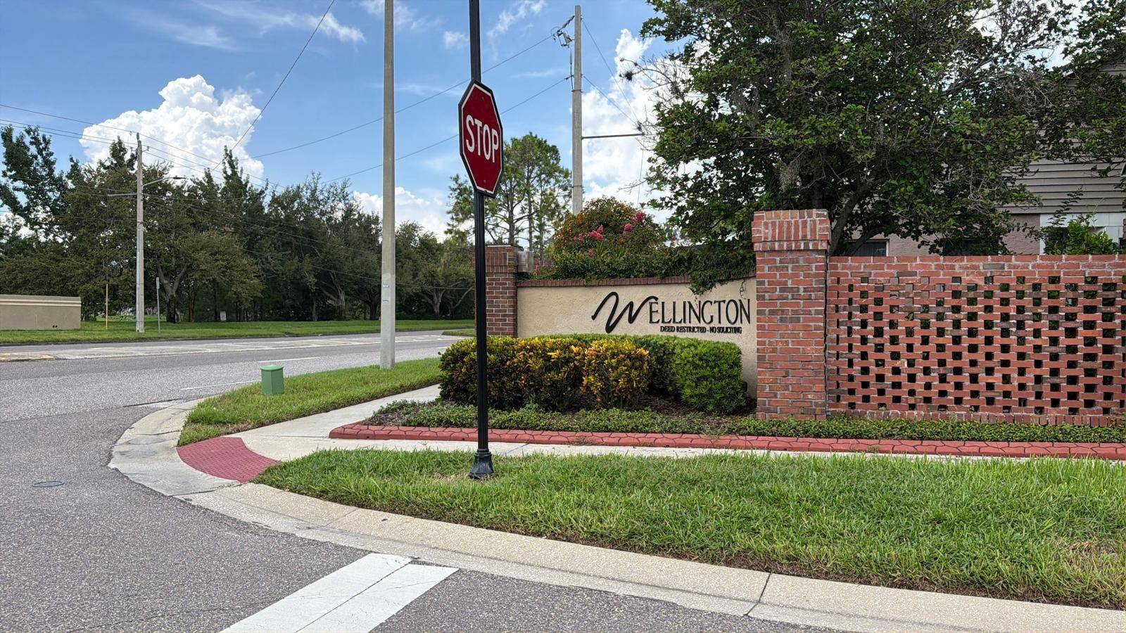 11838 Branch Mooring Dr, Tampa, FL 33635