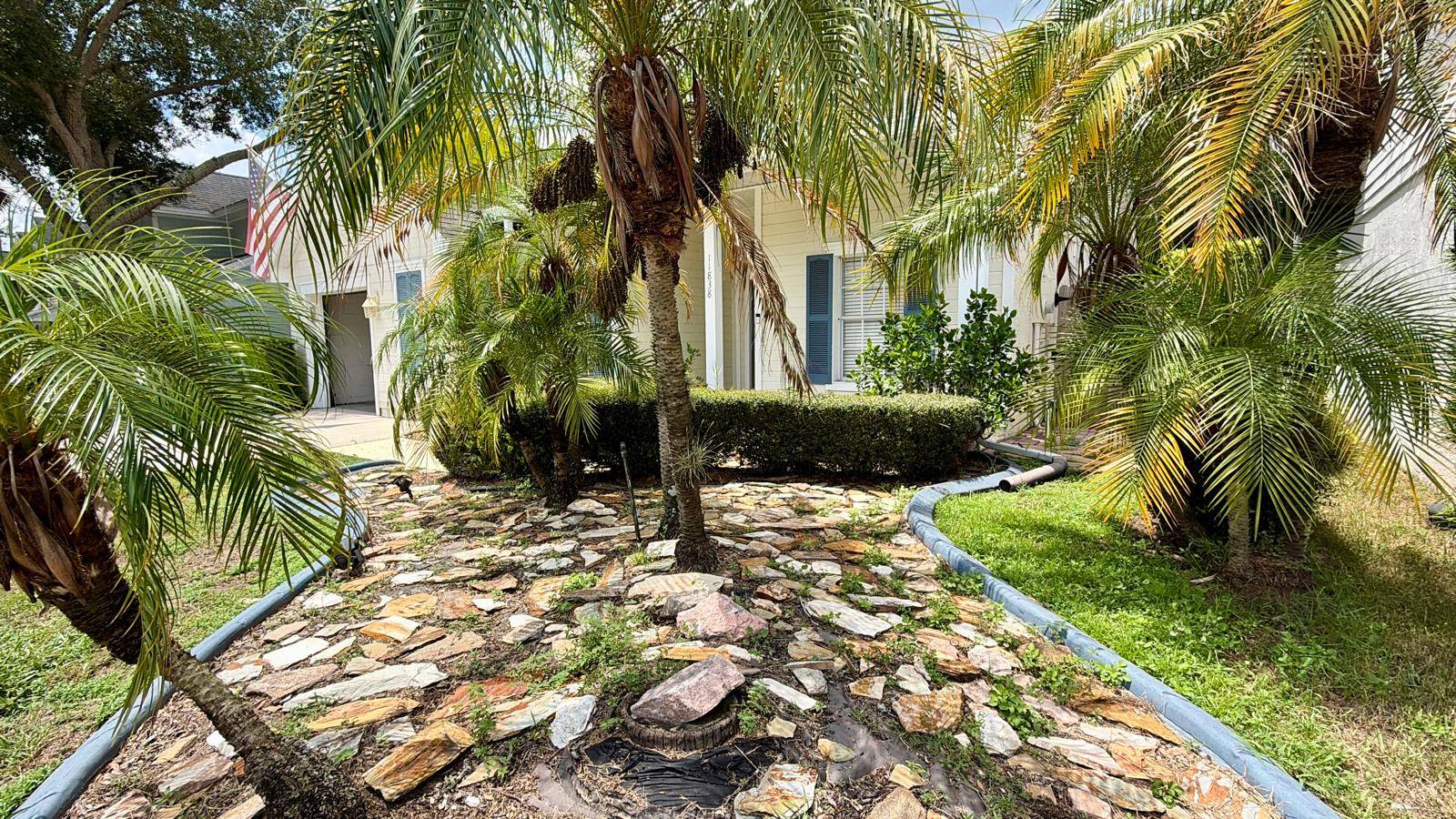 11838 Branch Mooring Dr, Tampa, FL 33635