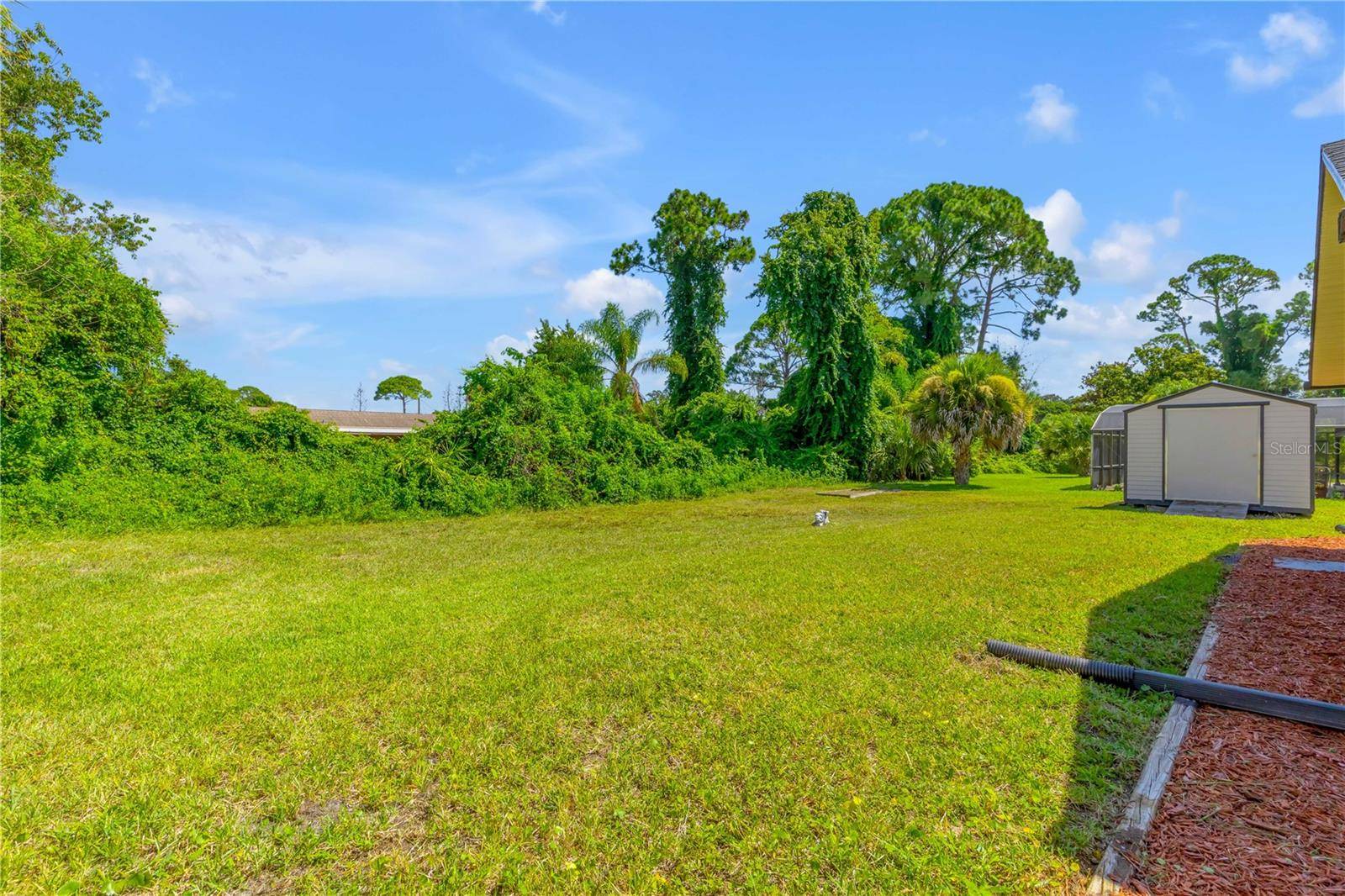 117 Poinciana Rd, Edgewater, FL 32141