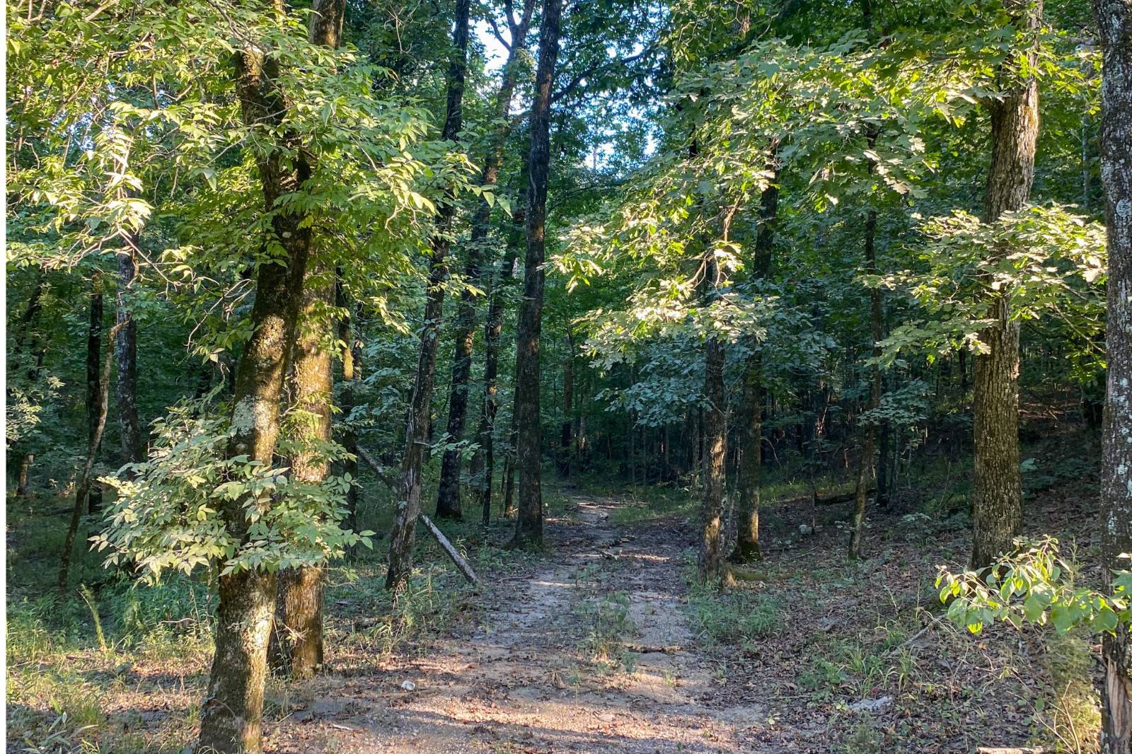 Photo 1 of 7 of land for sale at 54 Eagle Nest Lane, Hochatown, OK 74728