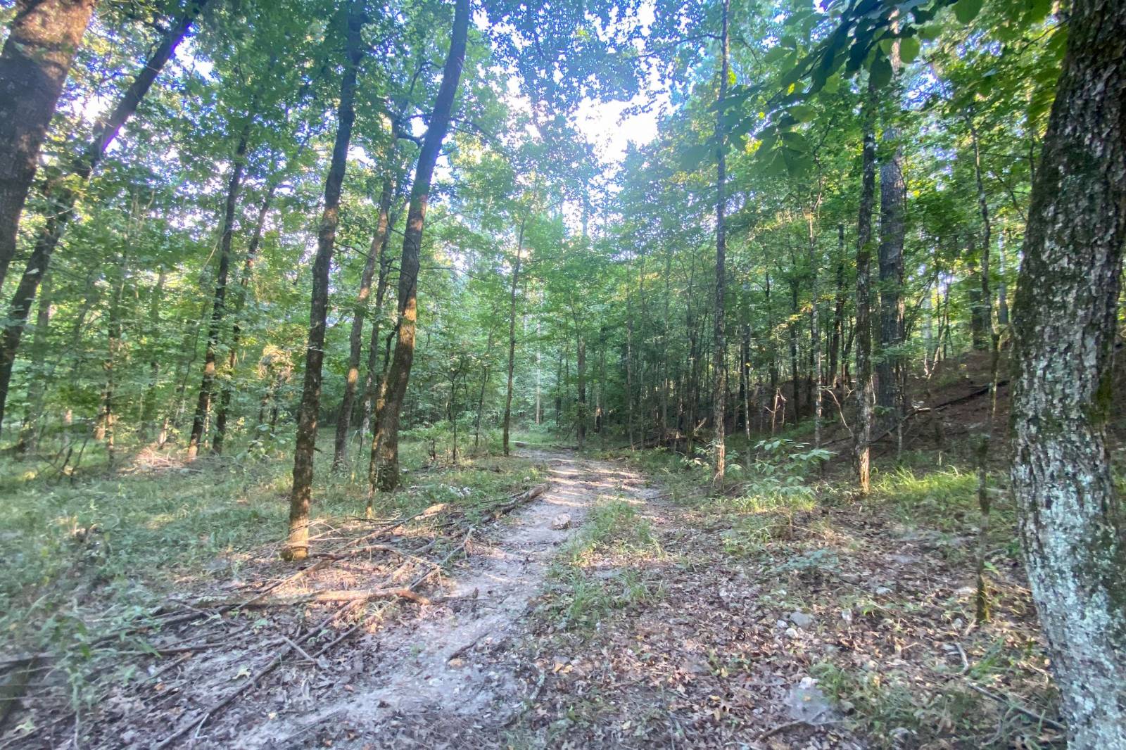 Photo 2 of 7 of land for sale at 54 Eagle Nest Lane, Hochatown, OK 74728