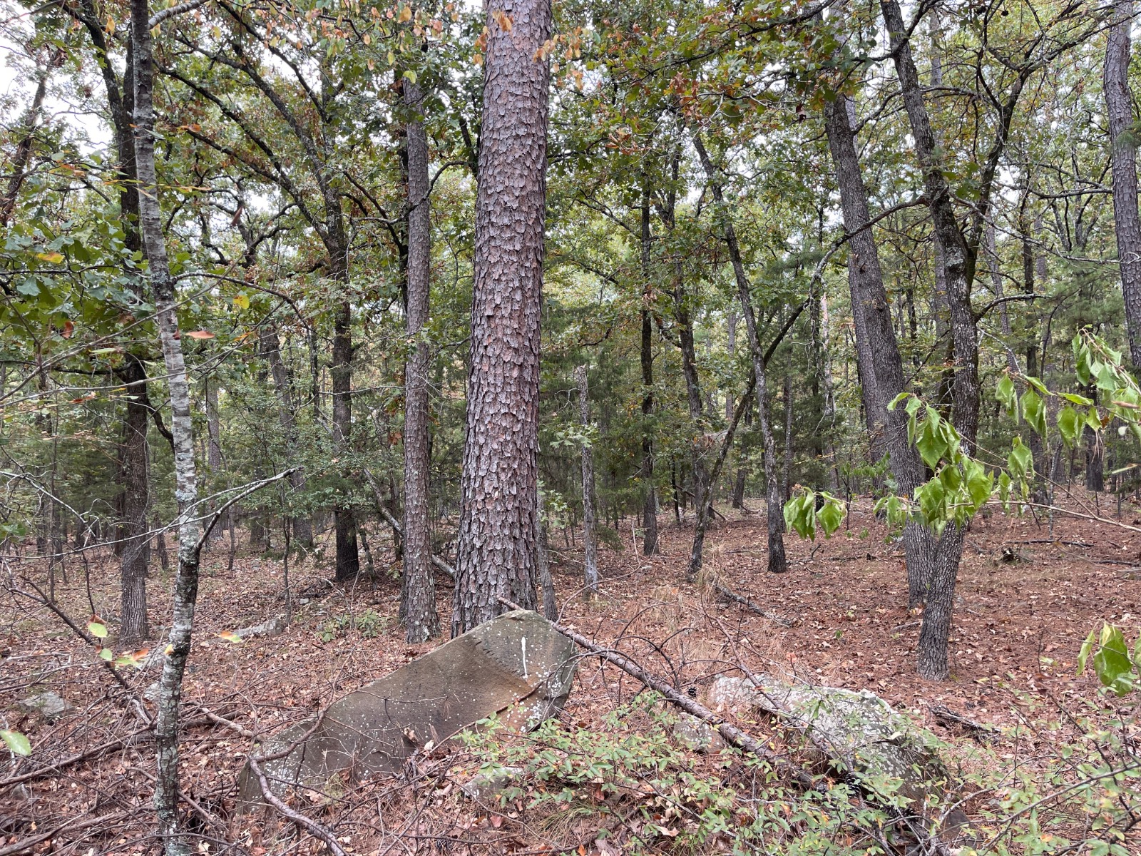 Photo 1 of 10 of land for sale at Lot 61 Whispering Pines Way, Antlers, OK 74523
