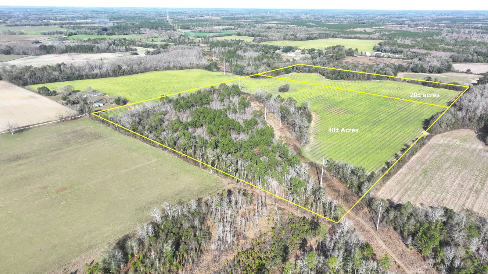 Photo 1 of 32 of land for sale at xx Mimosa Ln, Cottondale, FL 32431