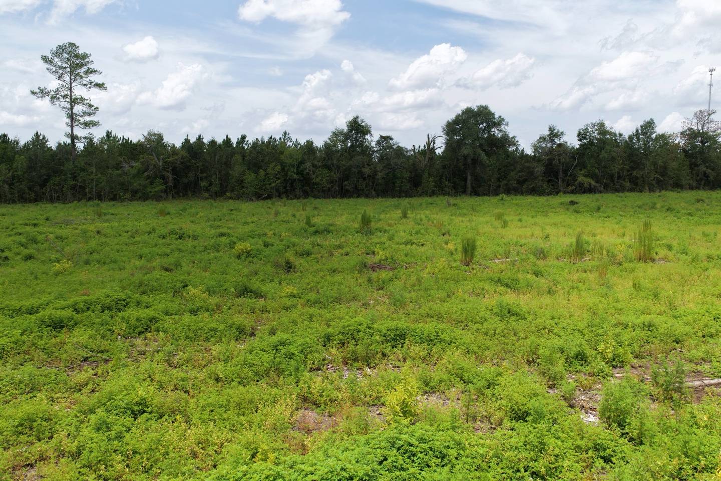 Vacant 161st Road, Live Oak, FL 32060