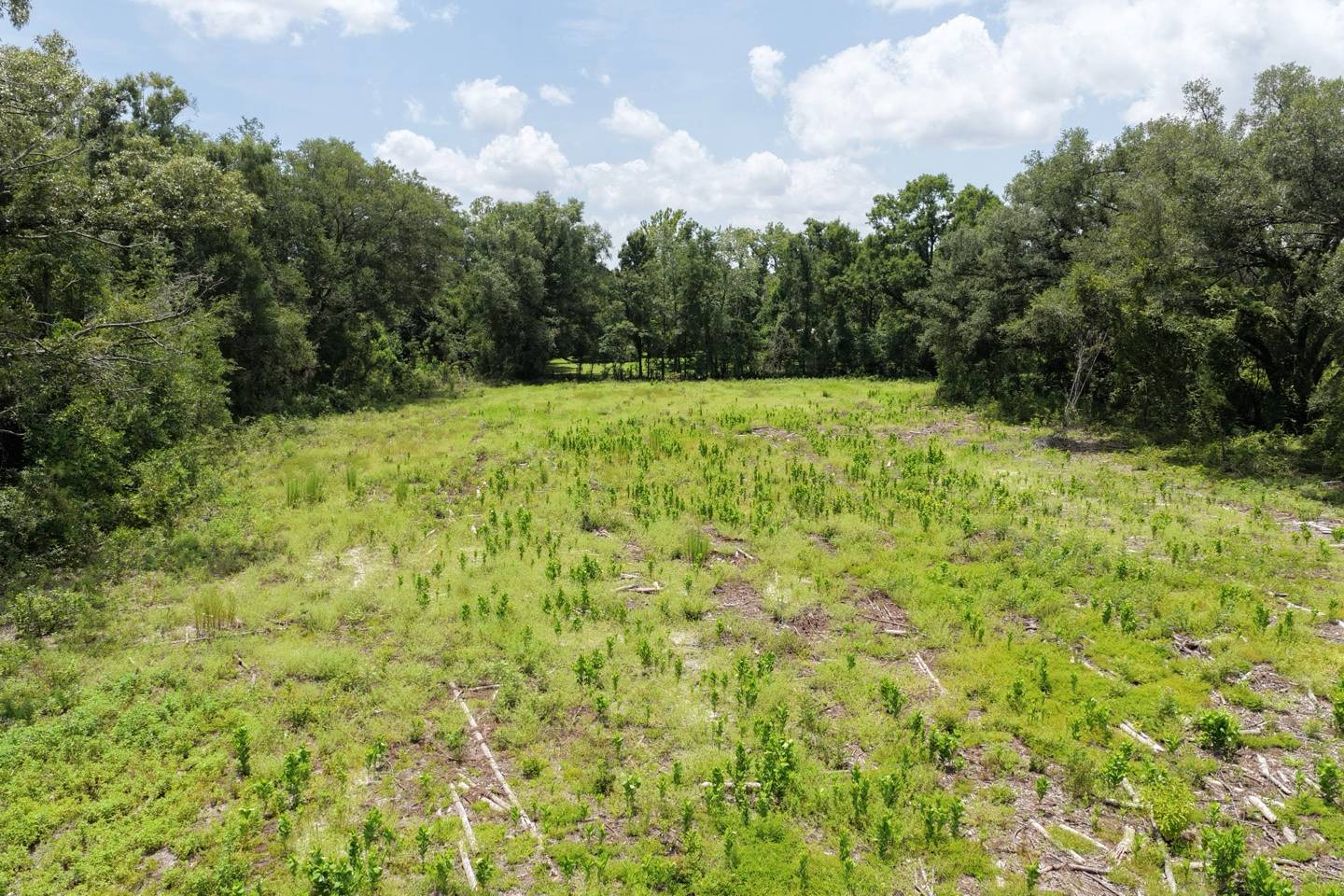 Vacant 161st Road, Live Oak, FL 32060