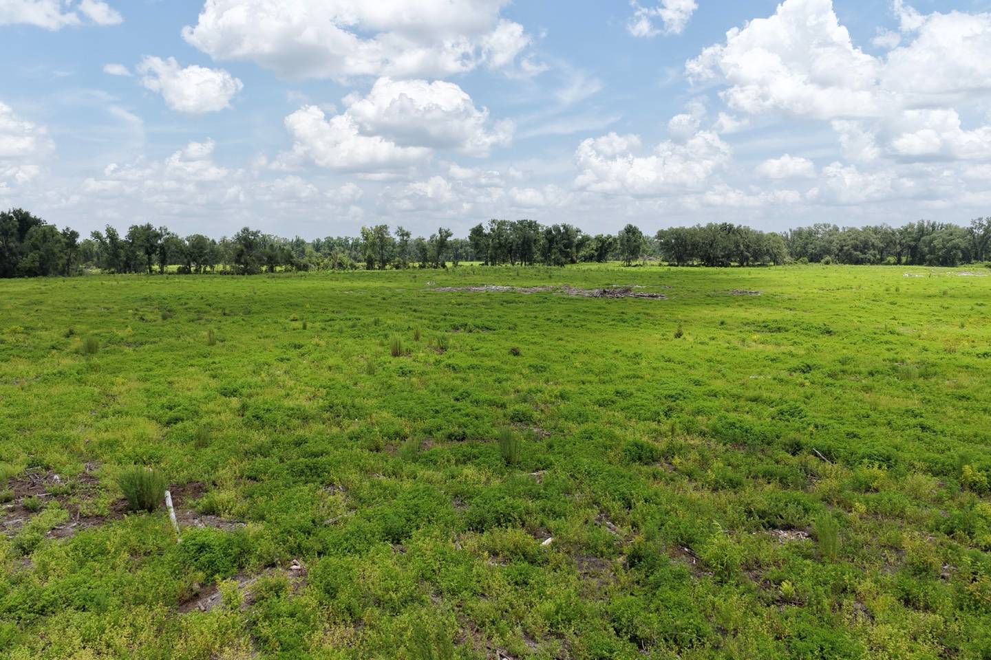Vacant 161st Road, Live Oak, FL 32060